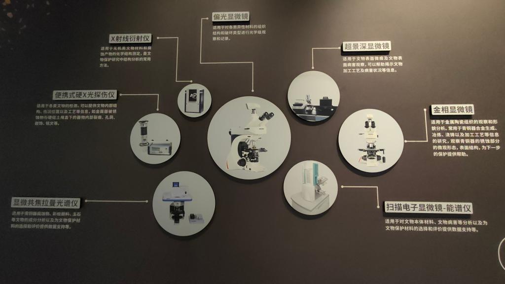 图片包含 图示描述已自动生成